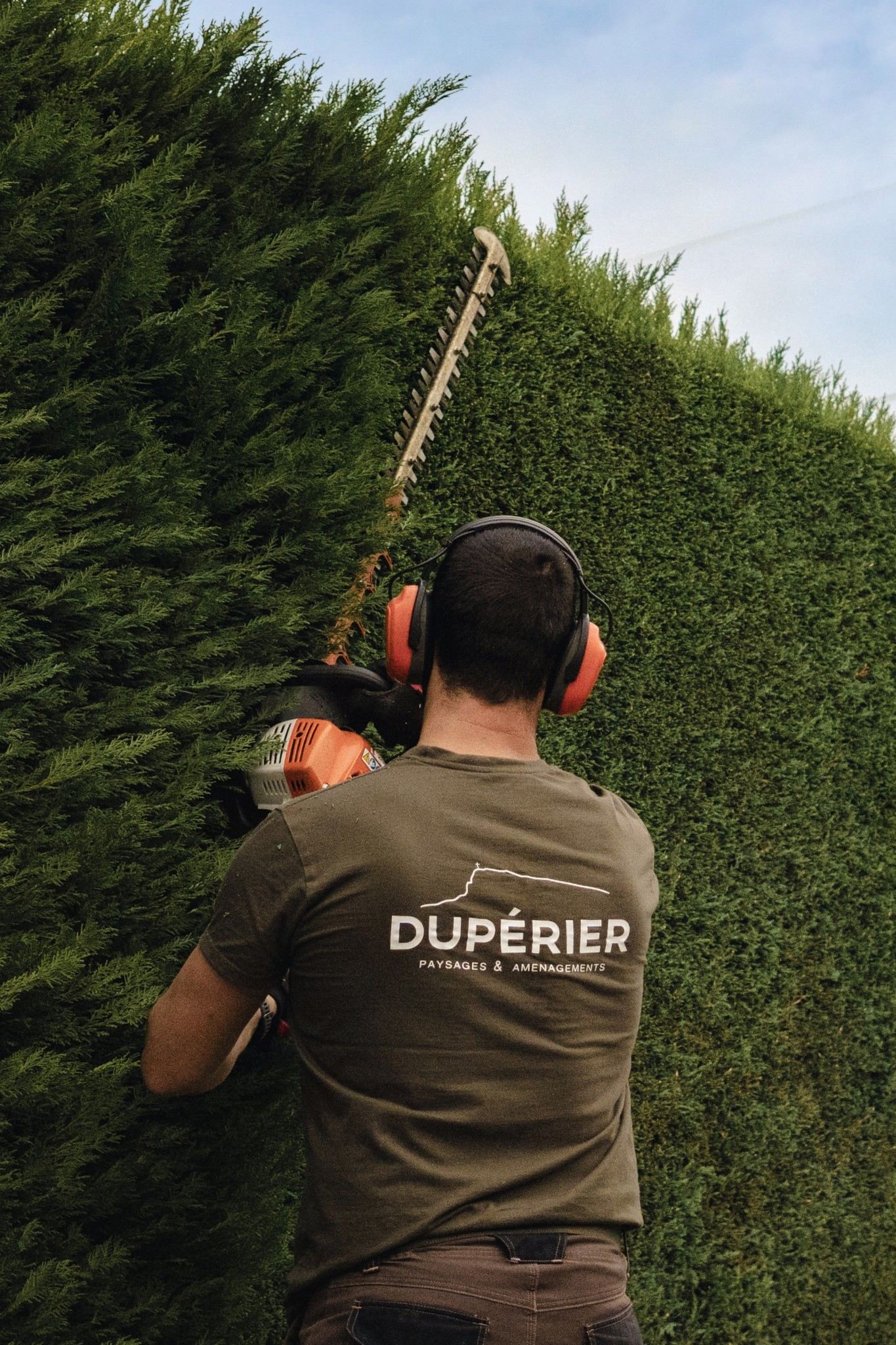 Logo créé pour Duperier Paysage